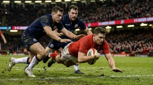 Over/Under Betting in Rugby Union: Points Totals Strategy